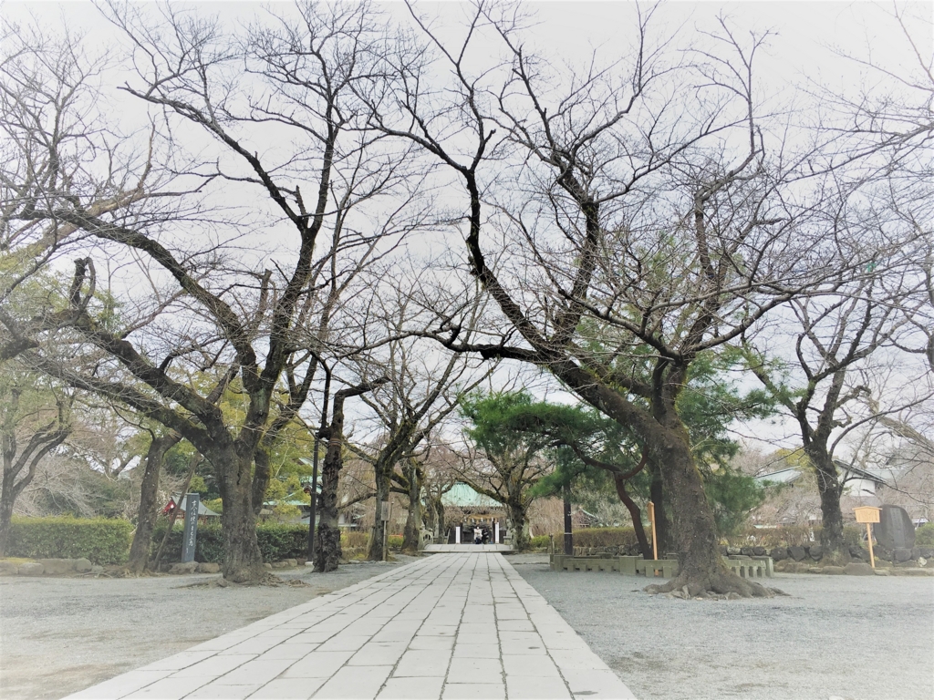 f:id:misaroundf:20170315113654j:plain f:id:misaroundf:20170315113654j:plain
