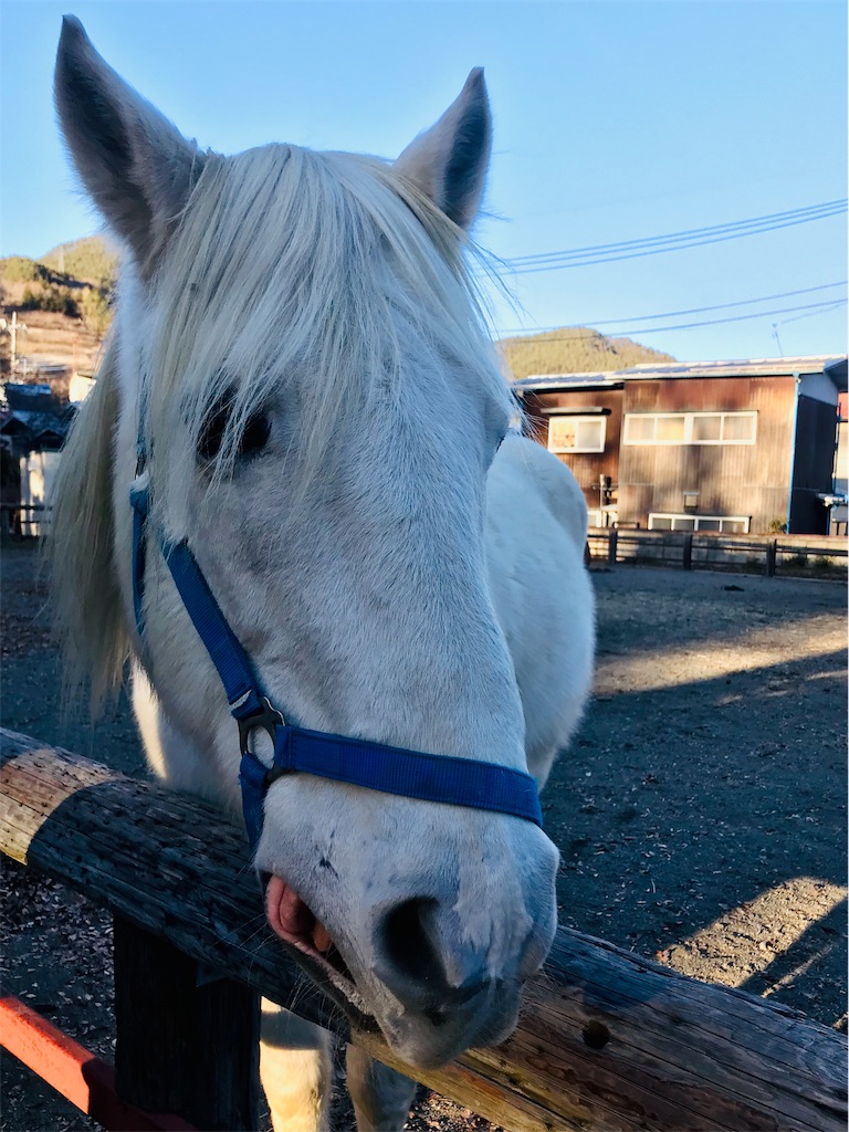f:id:misaroundf:20190102210150j:image f:id:misaroundf:20190102210150j:image