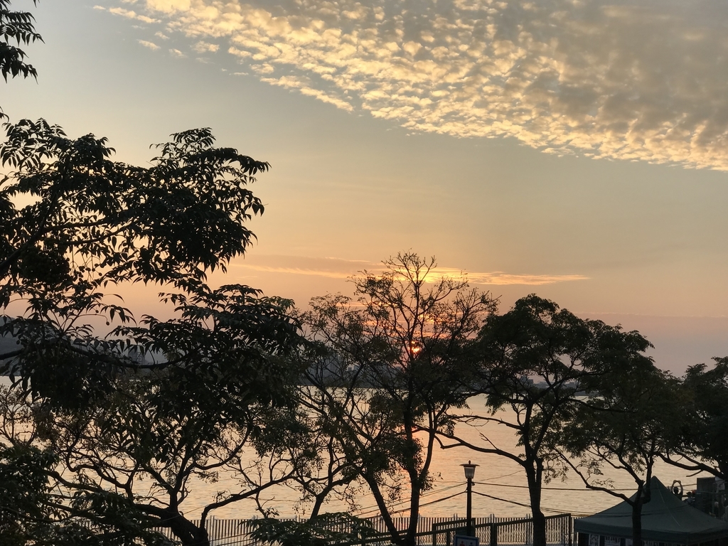 f:id:misaroundf:20190311085315j:plain