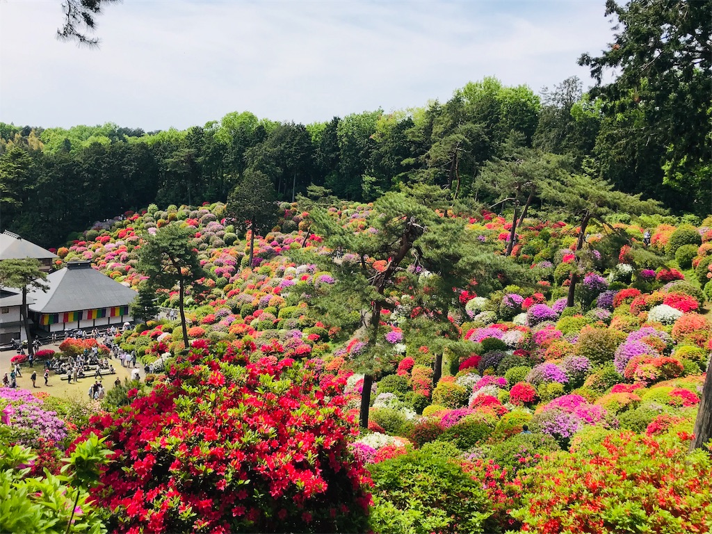 塩船観音寺 と イライラは良くないよ という話 Imacoco 手相 九星気学 易占 マヤ 塩船観音寺 と イライラは良くないよ という話 Imacoco 手相 九星気学 易占 マヤ