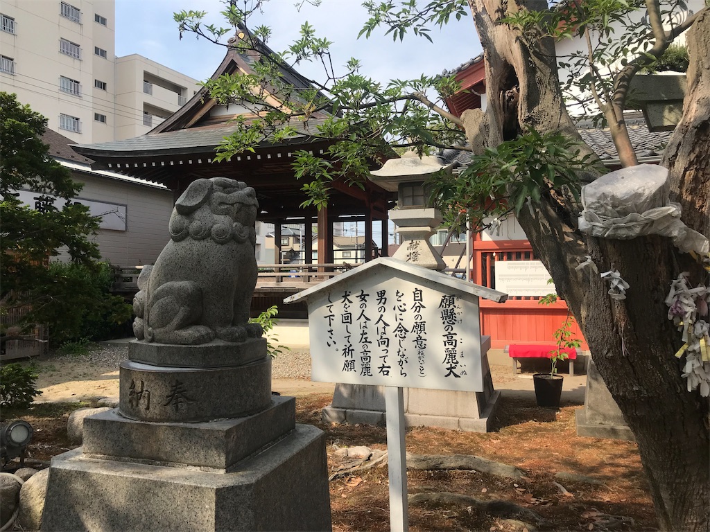 f:id:misaroundf:20190529114558j:image