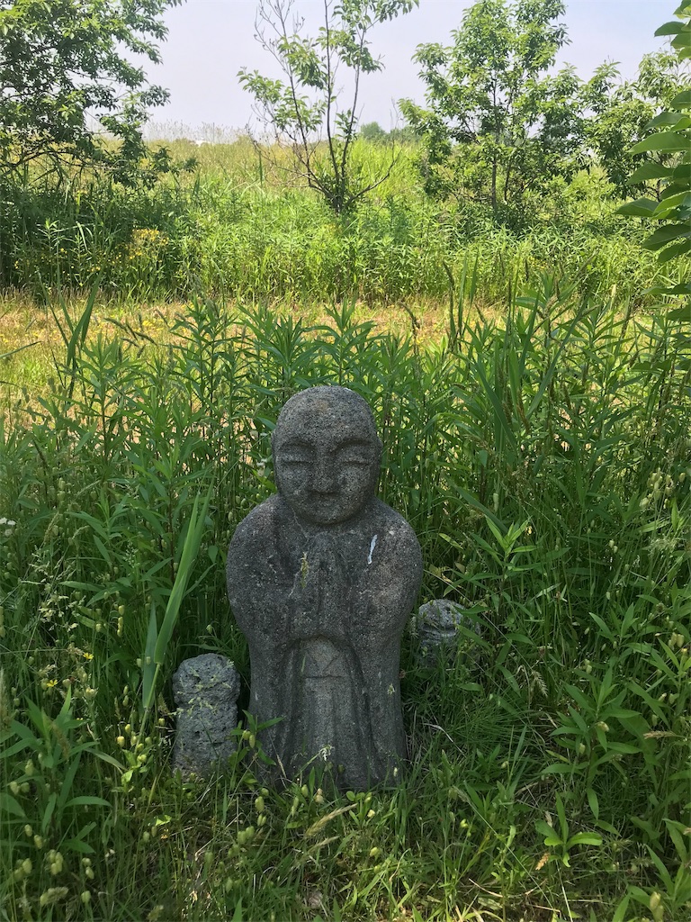 f:id:misaroundf:20190530135737j:image