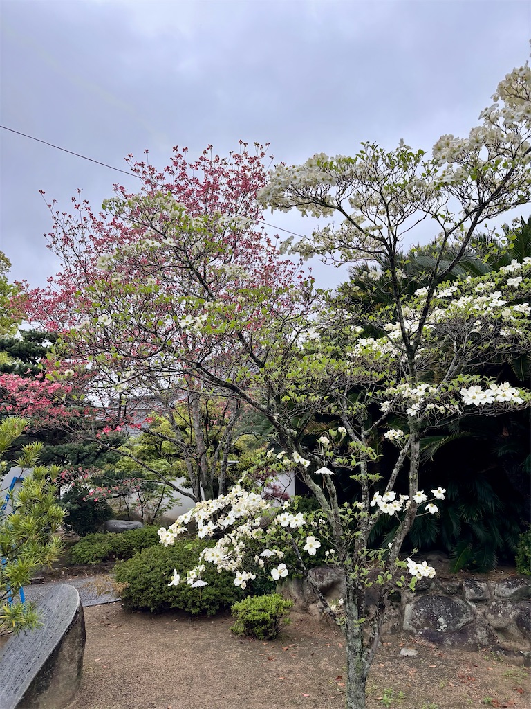 f:id:misaroundf:20260415141630j:image f:id:misaroundf:20260415141630j:image