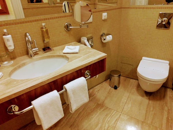 f:id:misasa104:20190217164724j:plain