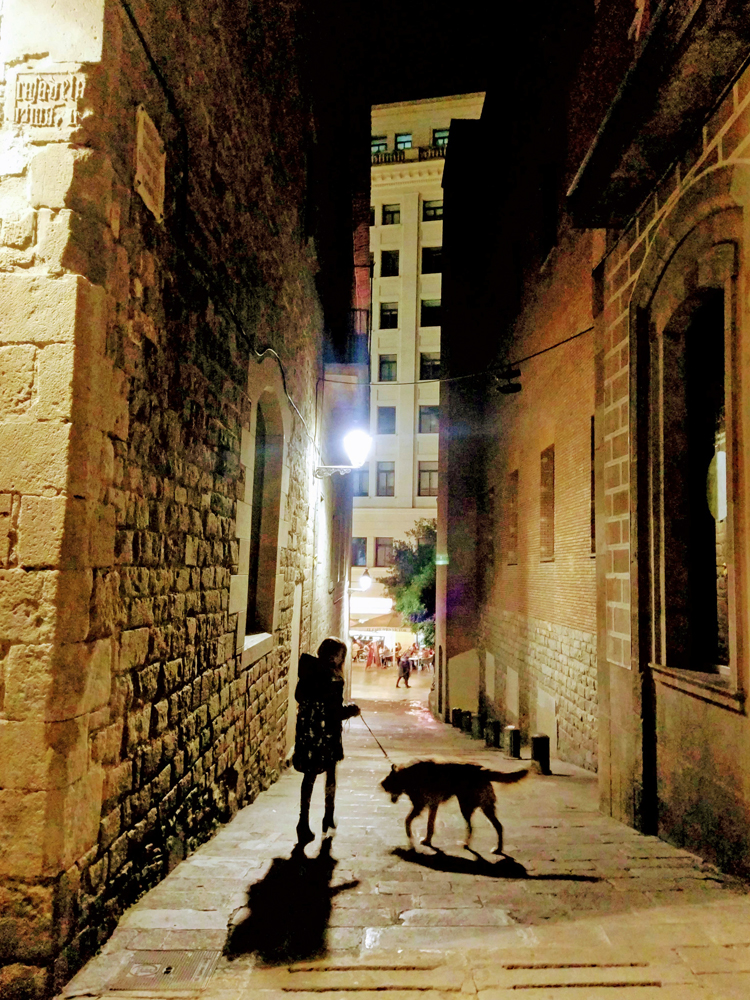 f:id:misasa104:20190414112419j:plain