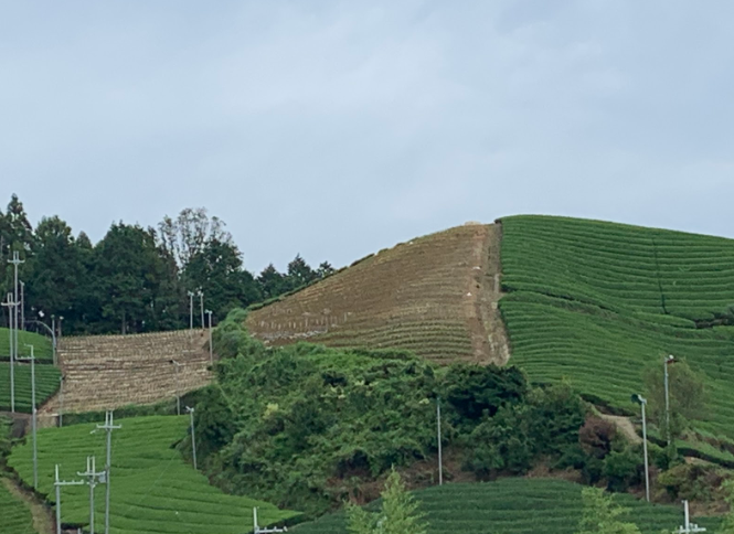 f:id:misato_mikan:20190901183815p:plain