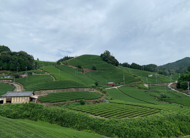 f:id:misato_mikan:20190901183923p:plain