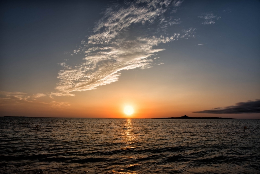 f:id:misatochang:20180602092931j:plain f:id:misatochang:20180602092931j:plain
