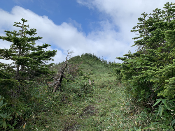 三岩岳 頂上付近