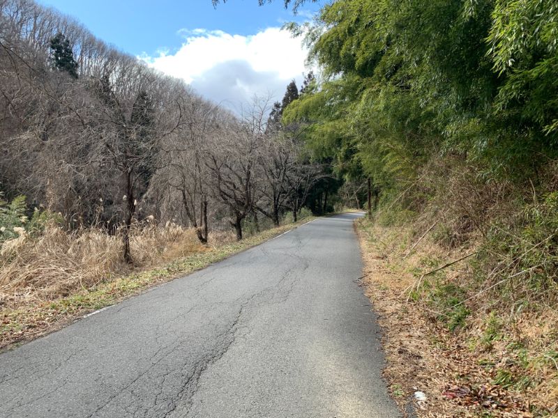 f:id:misatospring:20200228180029j:plain