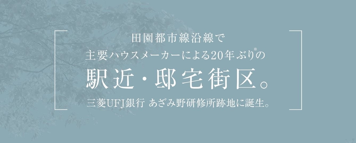 f:id:misawahome:20210116112534j:plain