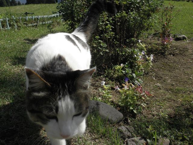 f:id:mishacarrot:20191015143946j:plain f:id:mishacarrot:20191015143946j:plain