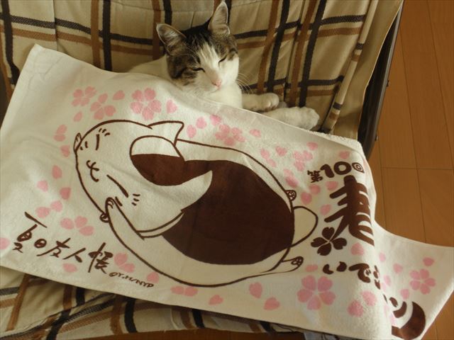 f:id:mishacarrot:20191108115829j:plain f:id:mishacarrot:20191108115829j:plain