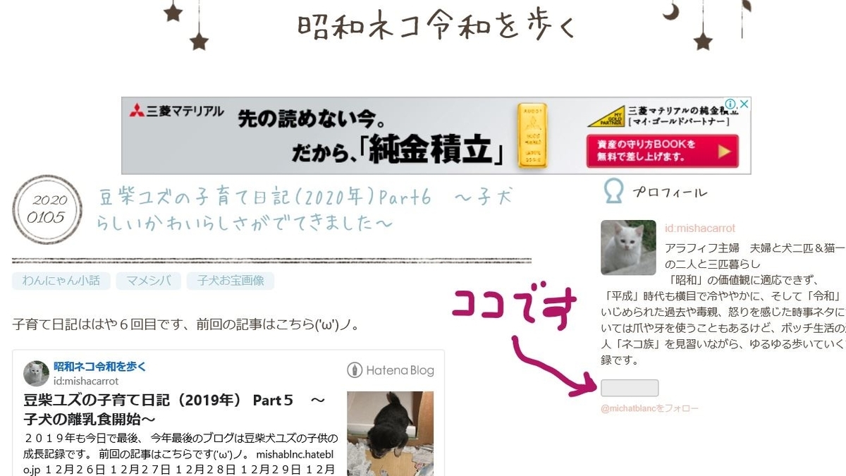 f:id:mishacarrot:20200108155122j:plain f:id:mishacarrot:20200108155122j:plain