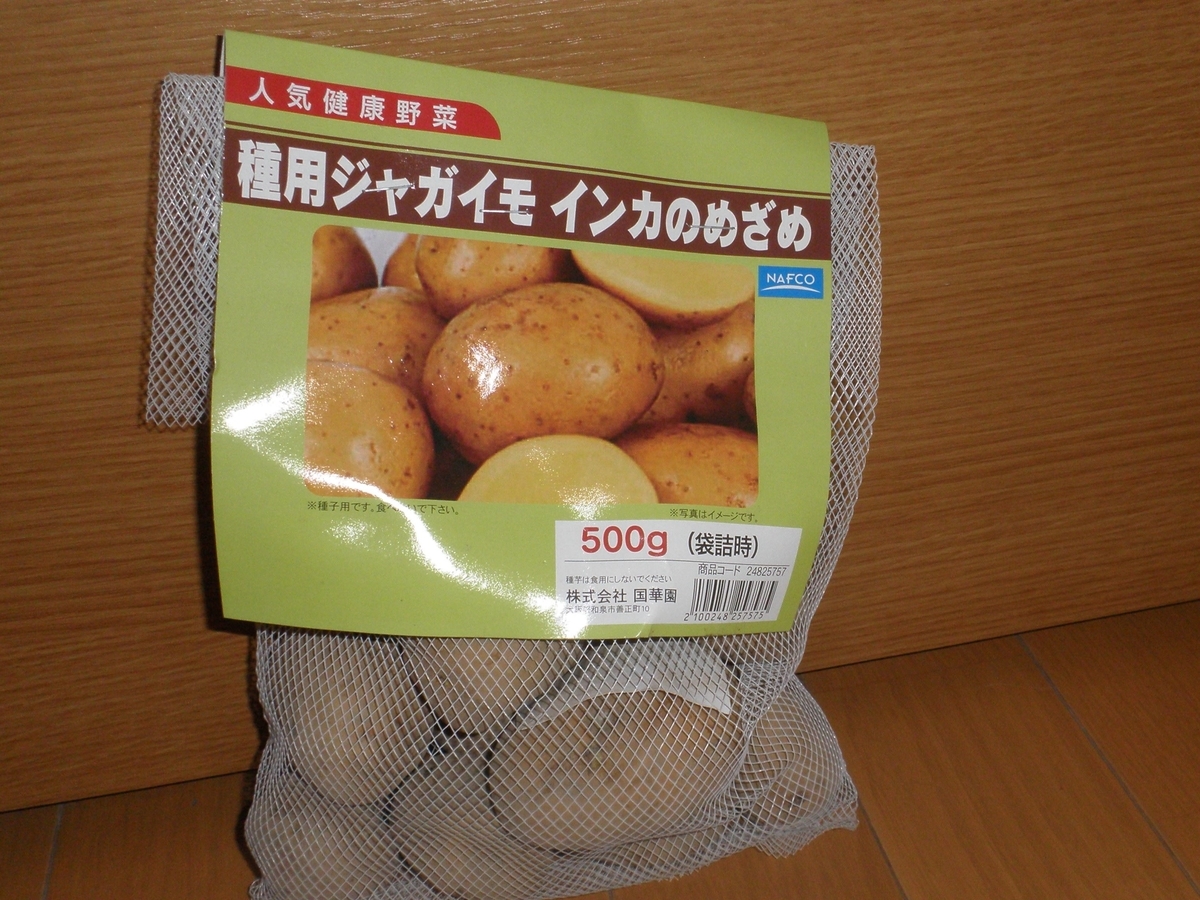 f:id:mishacarrot:20200203174525j:plain f:id:mishacarrot:20200203174525j:plain