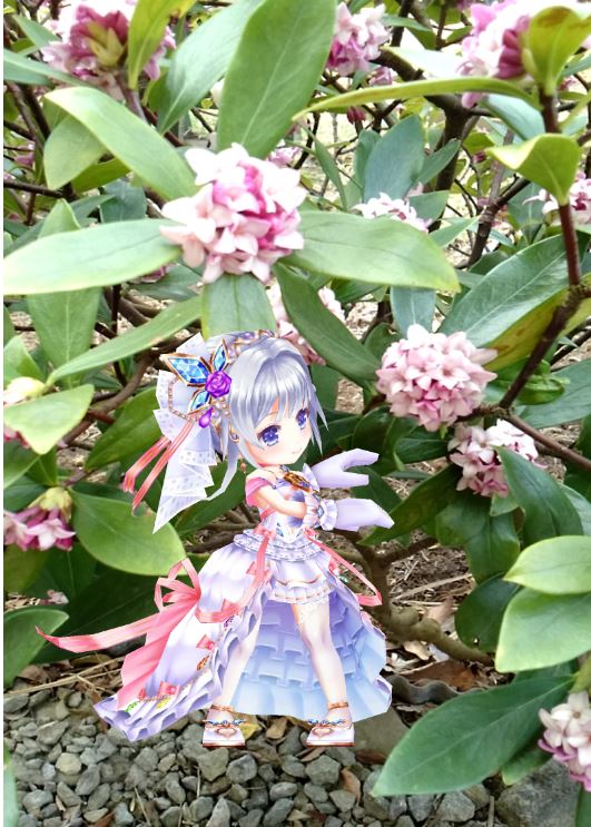 f:id:mishacarrot:20200405152226j:plain f:id:mishacarrot:20200405152226j:plain