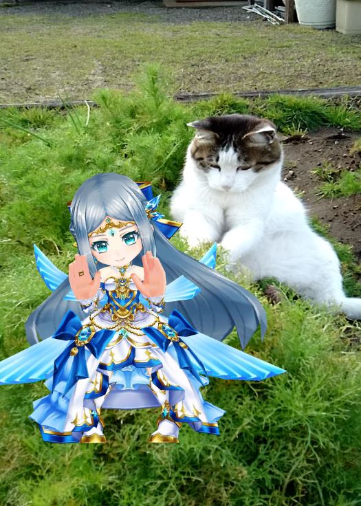 f:id:mishacarrot:20200405153647j:plain
