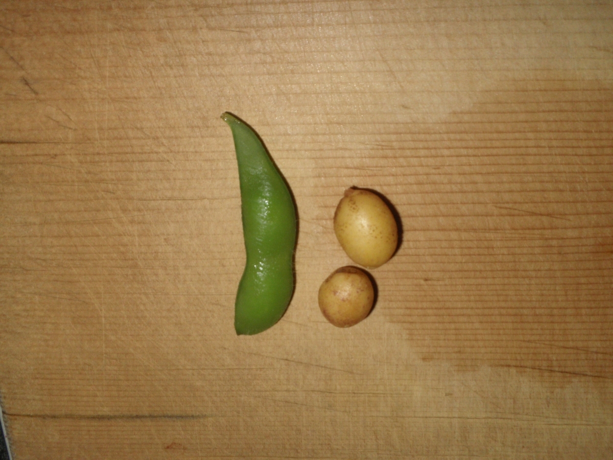 f:id:mishacarrot:20200610164027j:plain f:id:mishacarrot:20200610164027j:plain