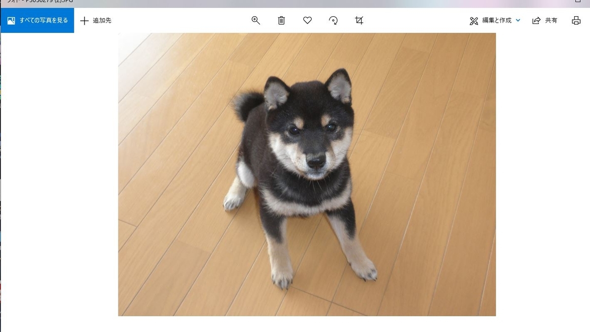 f:id:mishacarrot:20201222170410j:plain