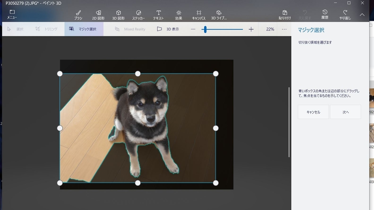 f:id:mishacarrot:20201222170757j:plain