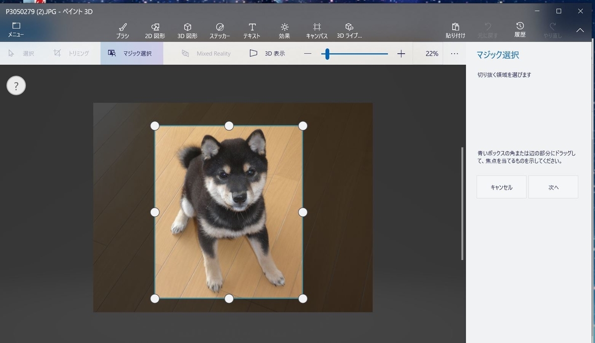 f:id:mishacarrot:20201222172227j:plain