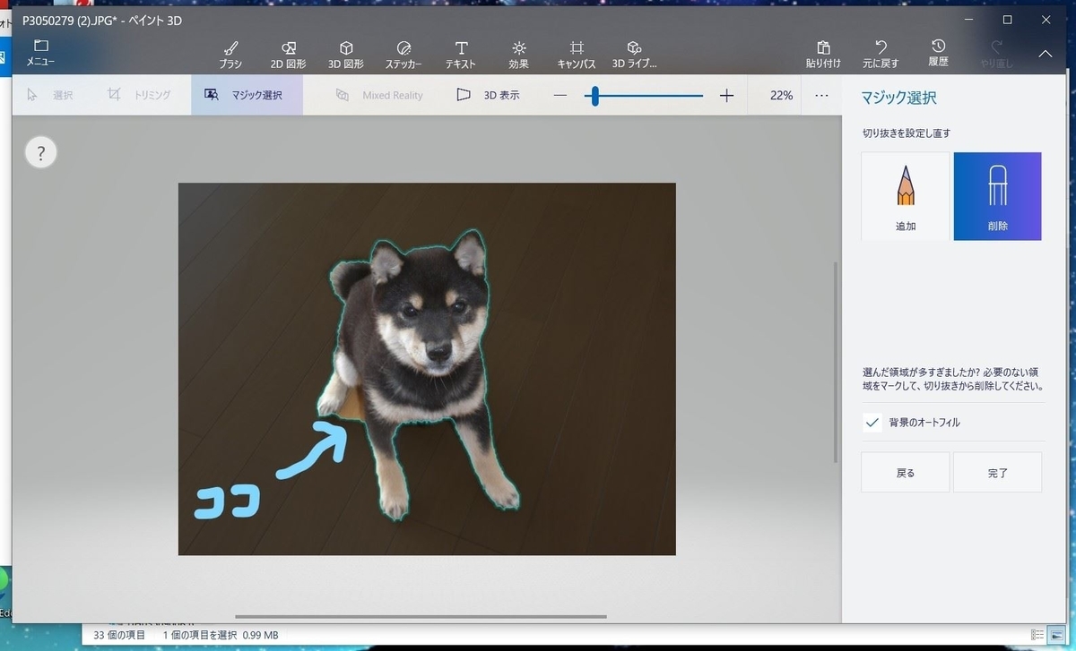 f:id:mishacarrot:20201222172304j:plain