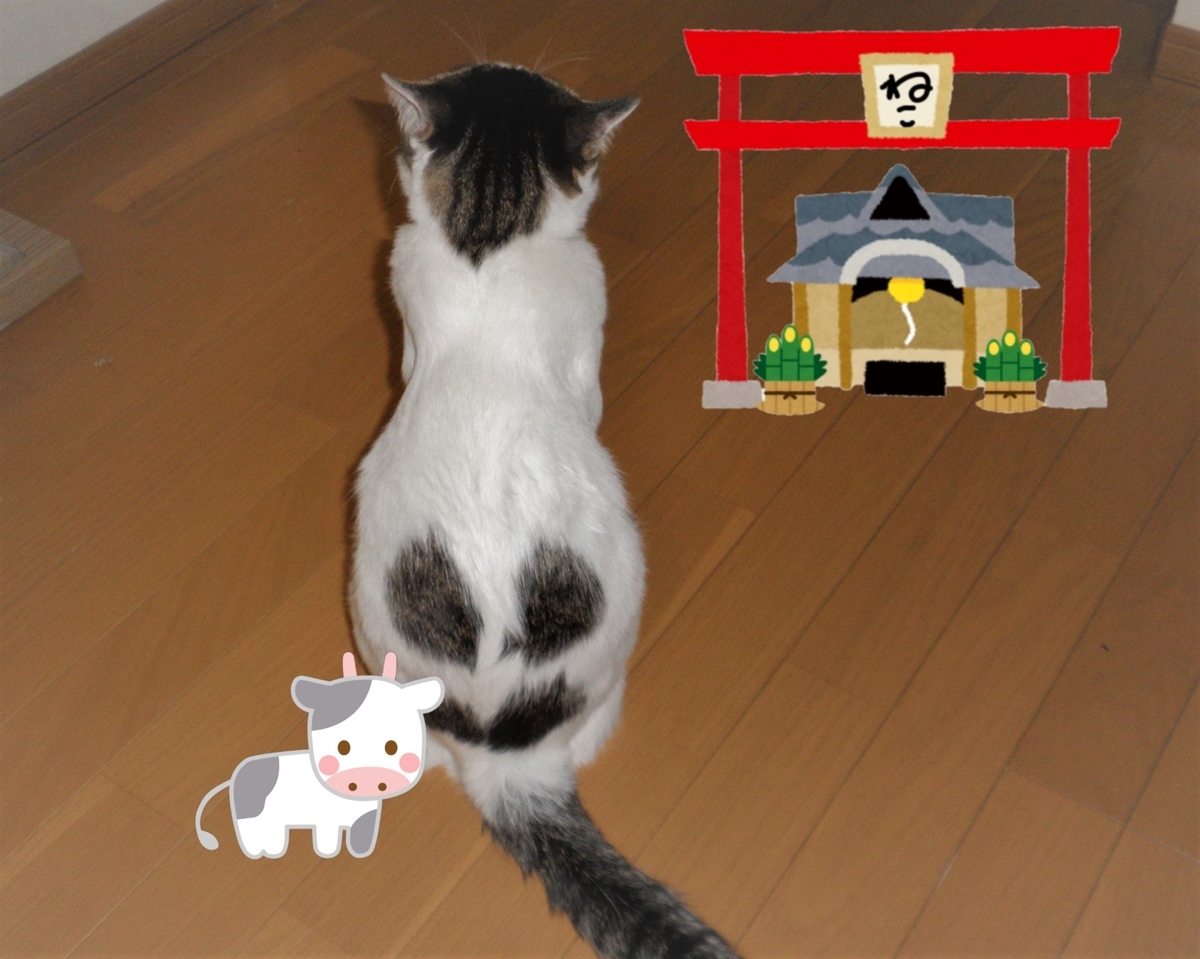 f:id:mishacarrot:20201230153329j:plain
