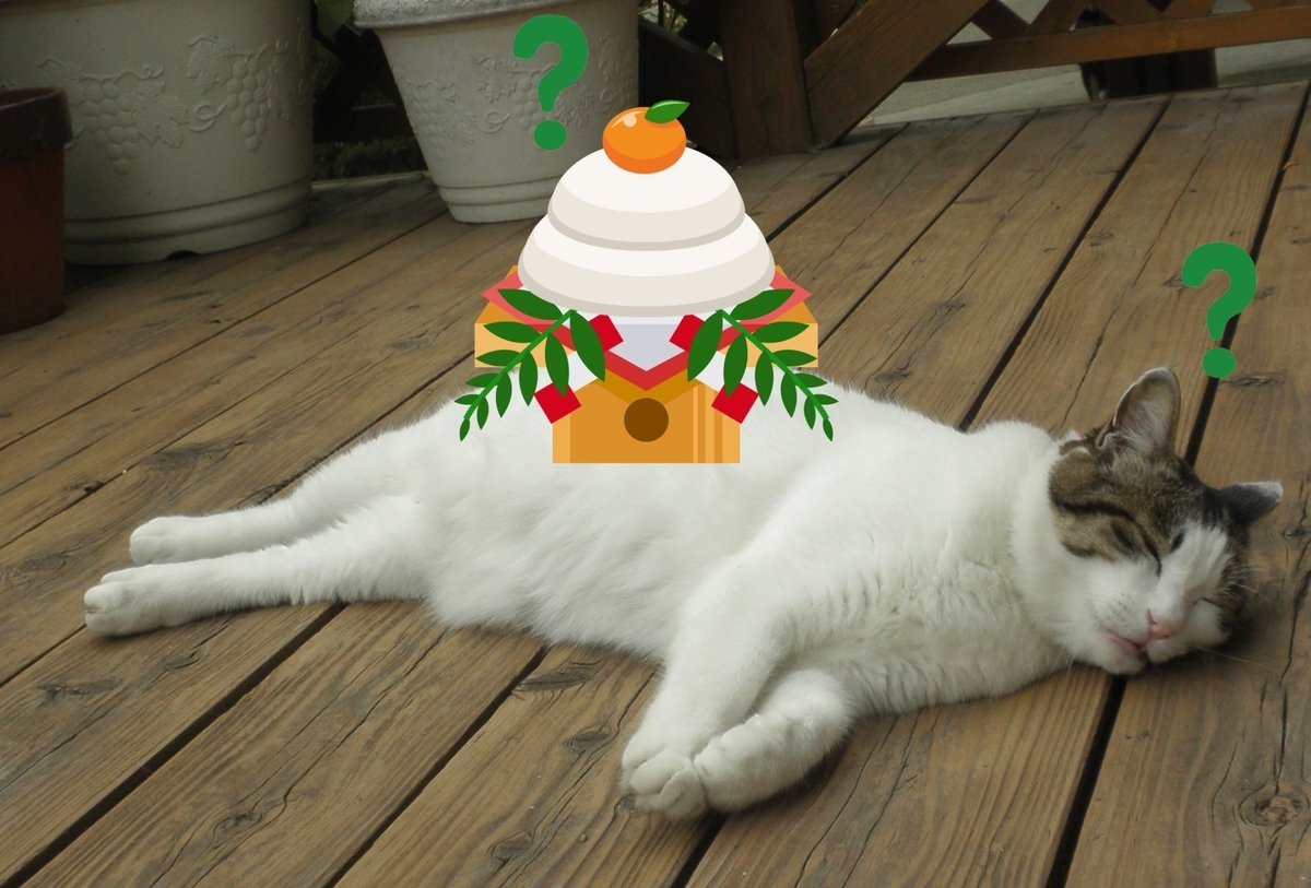 f:id:mishacarrot:20210109173046j:plain