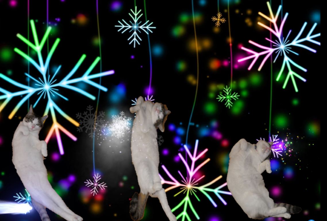 f:id:mishacarrot:20210115172338j:plain