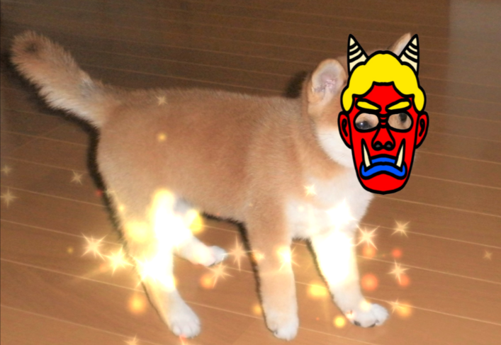 f:id:mishacarrot:20210202162214p:plain