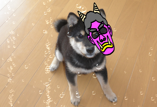 f:id:mishacarrot:20210202162339p:plain