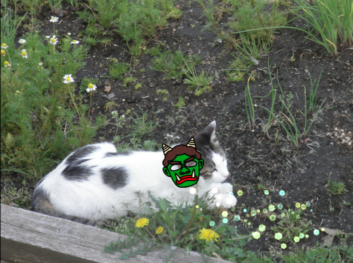 f:id:mishacarrot:20210202162545p:plain