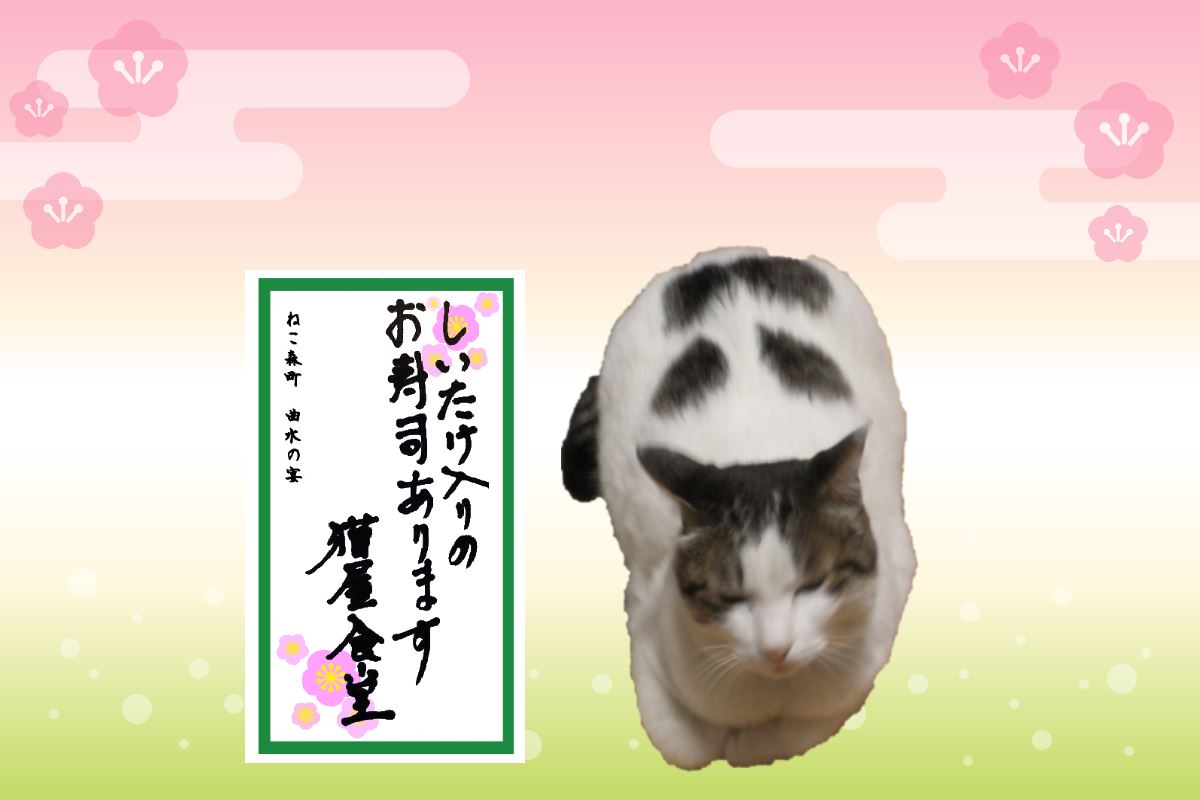 f:id:mishacarrot:20210305175618j:plain