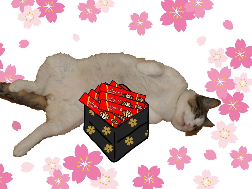 f:id:mishacarrot:20210328175108j:plain