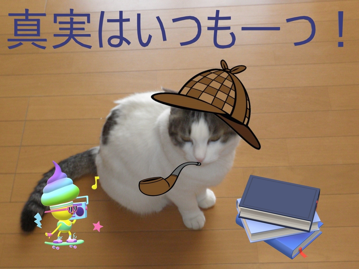 f:id:mishacarrot:20210328180729j:plain