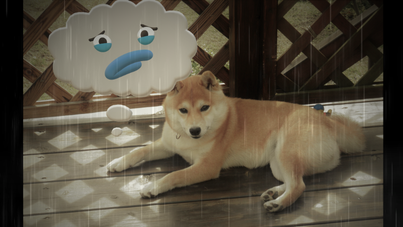 f:id:mishacarrot:20210419180055p:plain