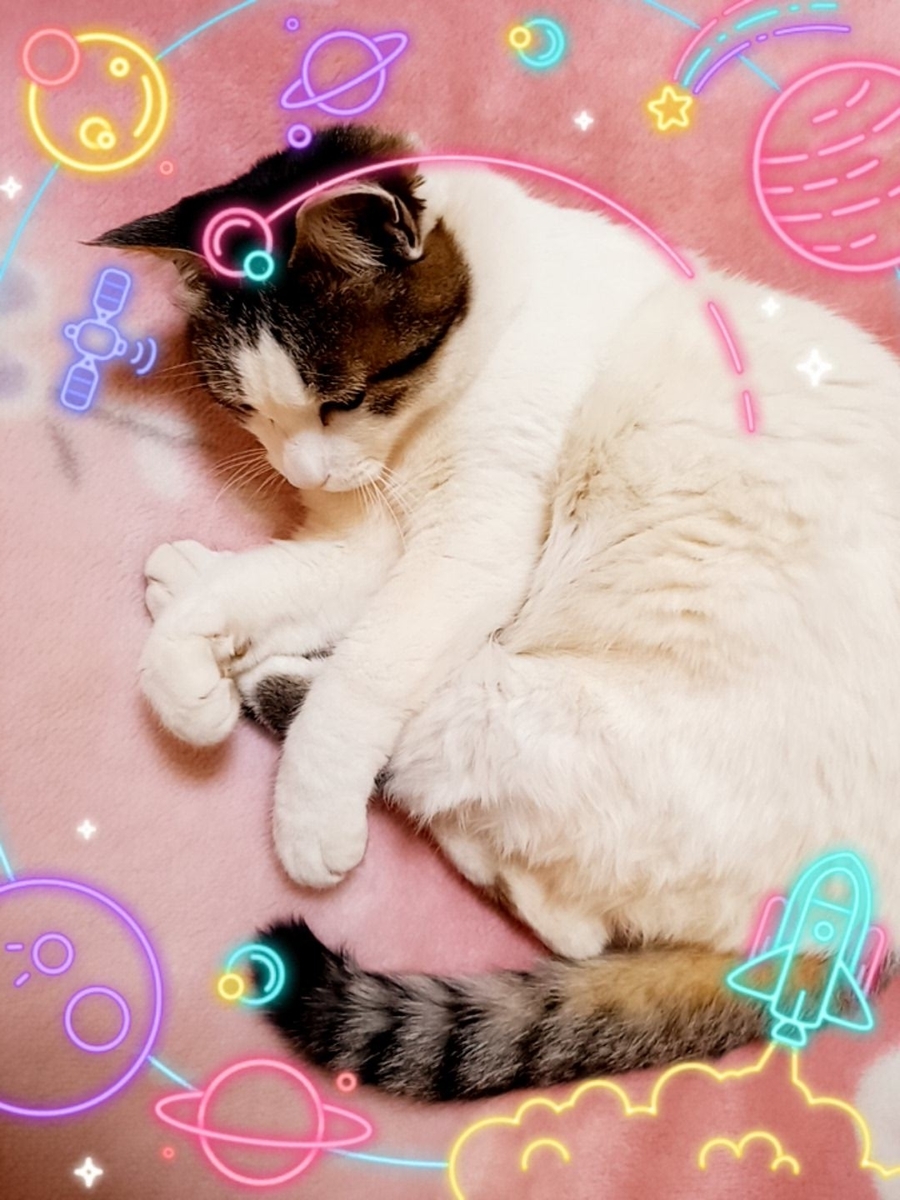 f:id:mishacarrot:20210422182439j:plain