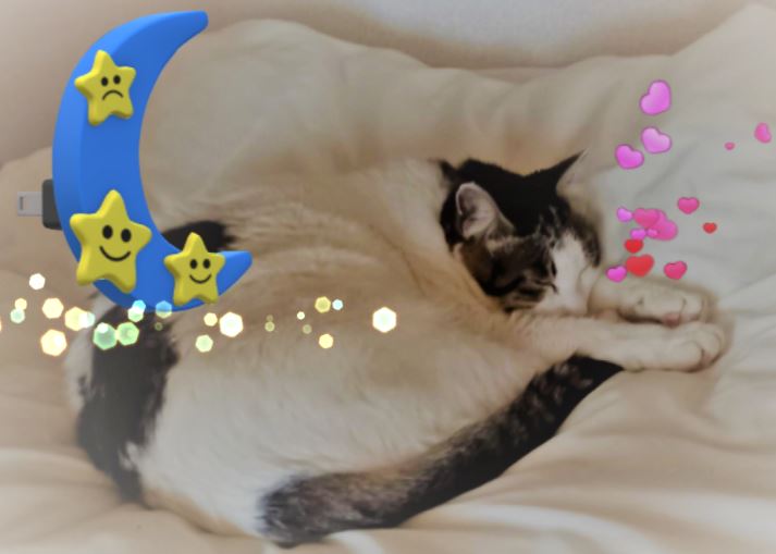 f:id:mishacarrot:20210429192933j:plain