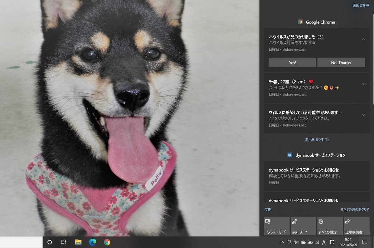 f:id:mishacarrot:20210511154300j:plain