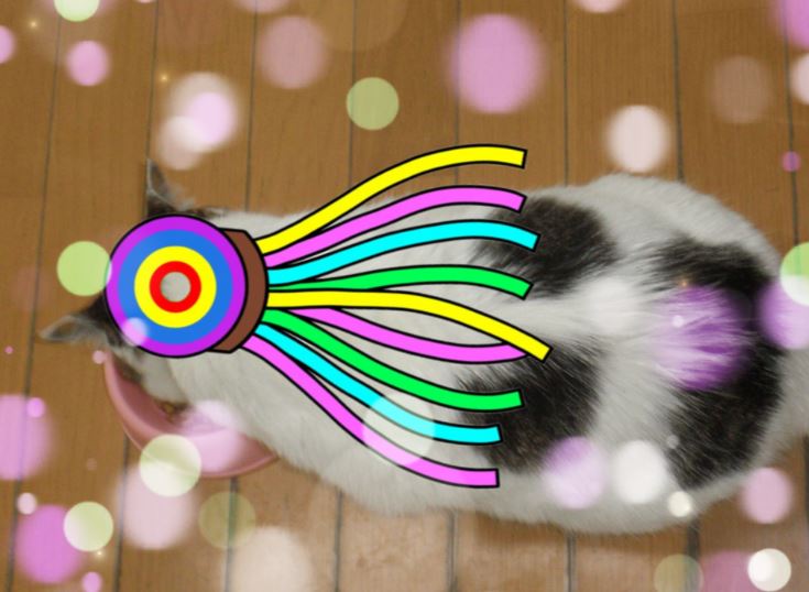 f:id:mishacarrot:20210705175004j:plain