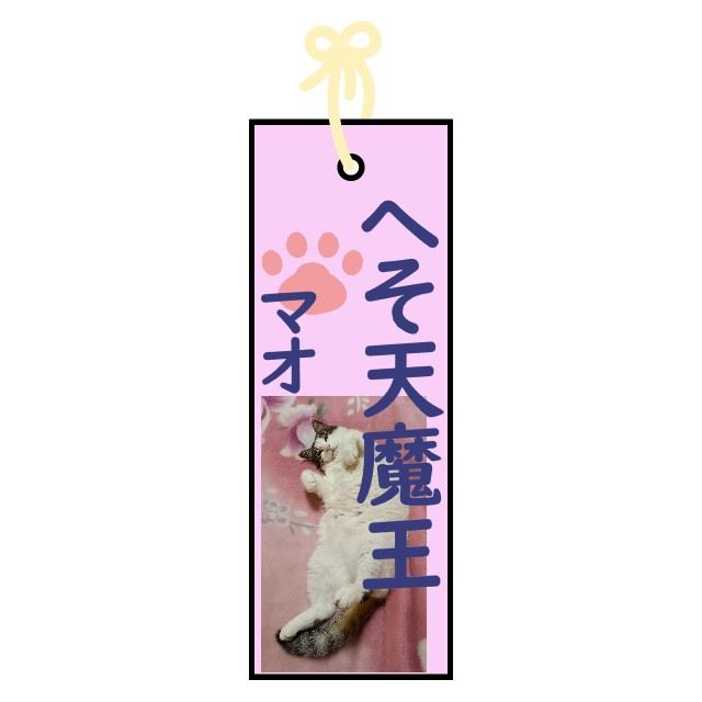 f:id:mishacarrot:20210705180040j:plain