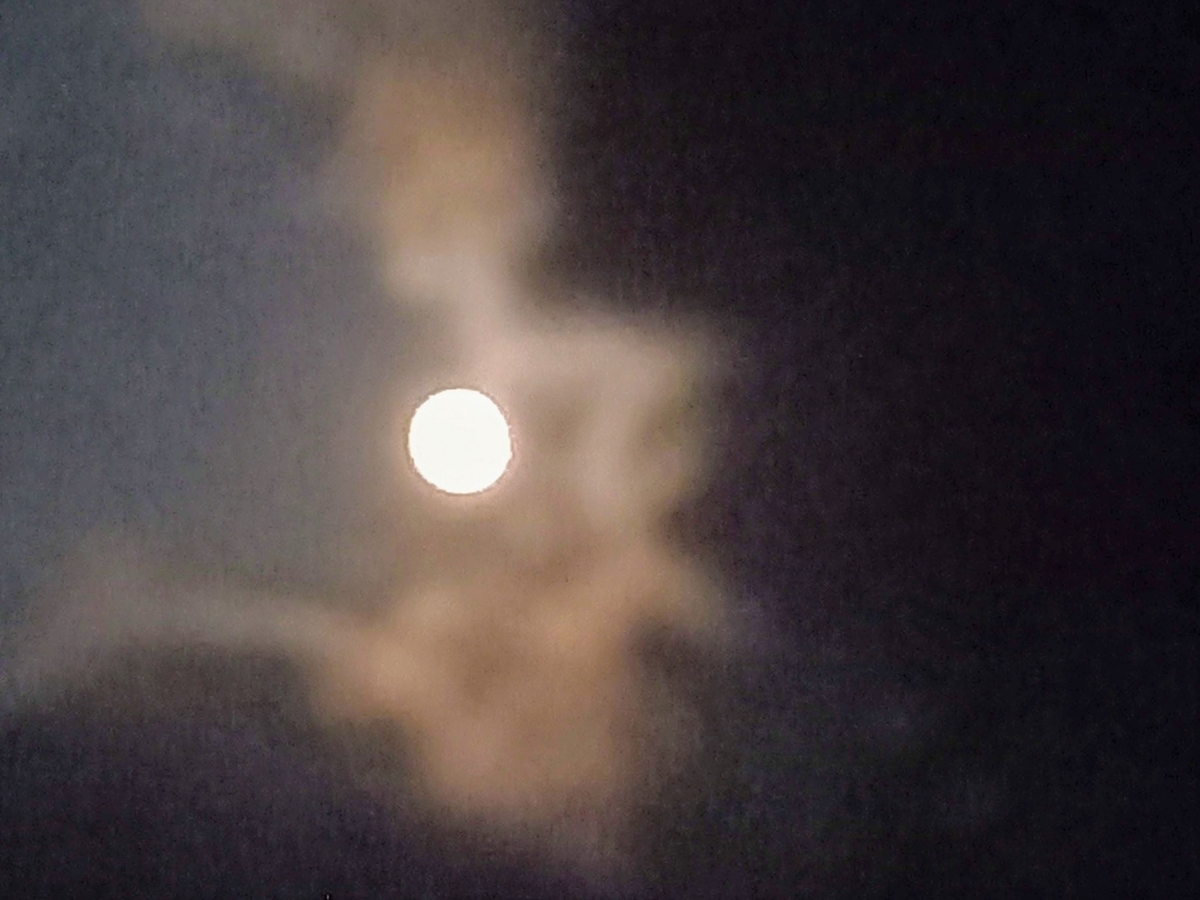 f:id:mishacarrot:20210922164440j:plain