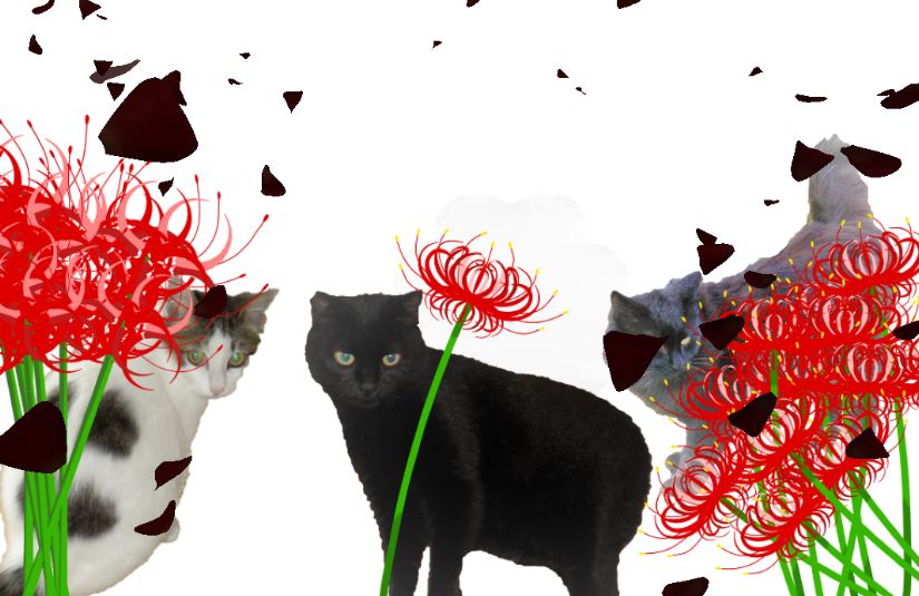 f:id:mishacarrot:20211024205127j:plain