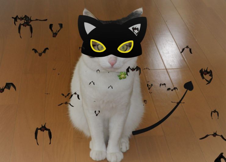f:id:mishacarrot:20211030180140j:plain