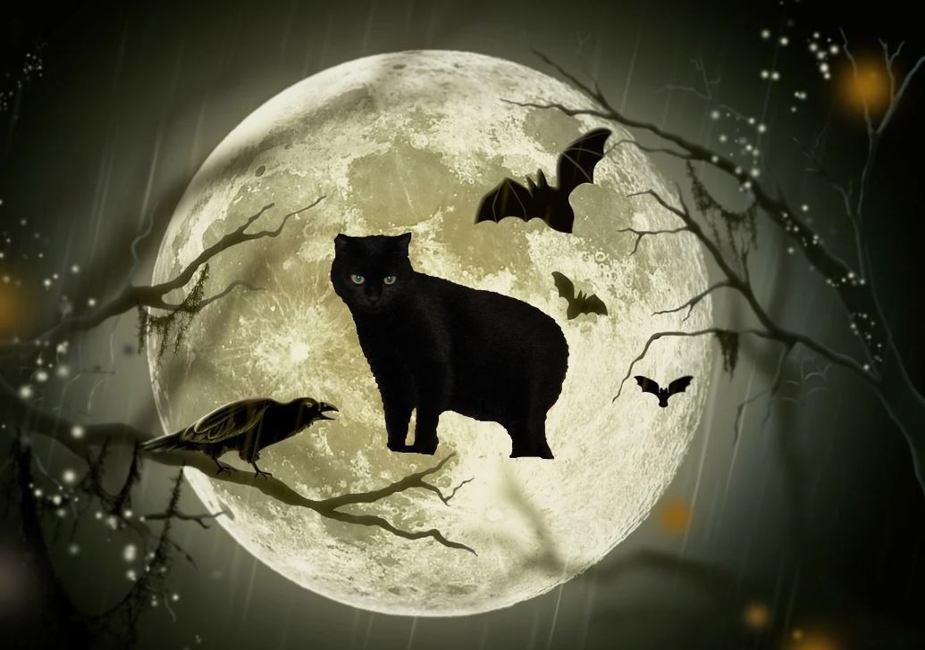 f:id:mishacarrot:20211108191320j:plain