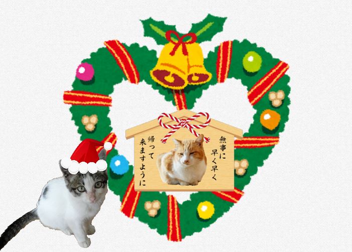 f:id:mishacarrot:20211125181740j:plain