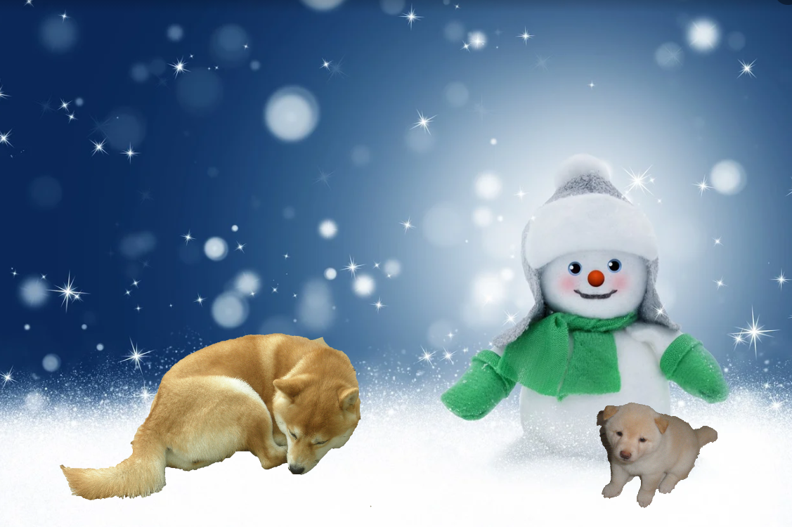 f:id:mishacarrot:20211211201410p:plain