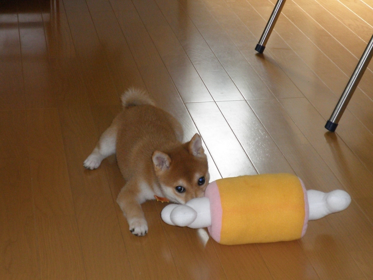 f:id:mishacarrot:20211218194005j:plain