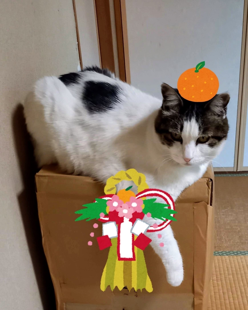 f:id:mishacarrot:20220111172750j:plain