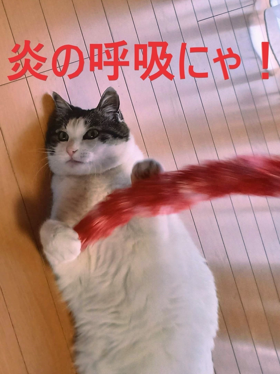 f:id:mishacarrot:20220130200851j:plain